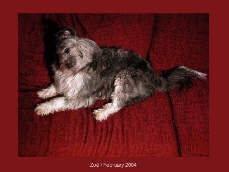 Zoe/February 2004