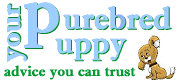yourpurebredpuppy.com logo
